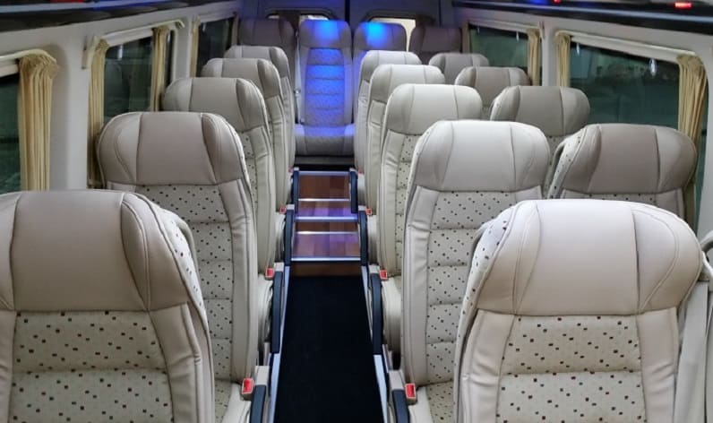 Germany: Coach company in Bavaria in Bavaria and Puchheim